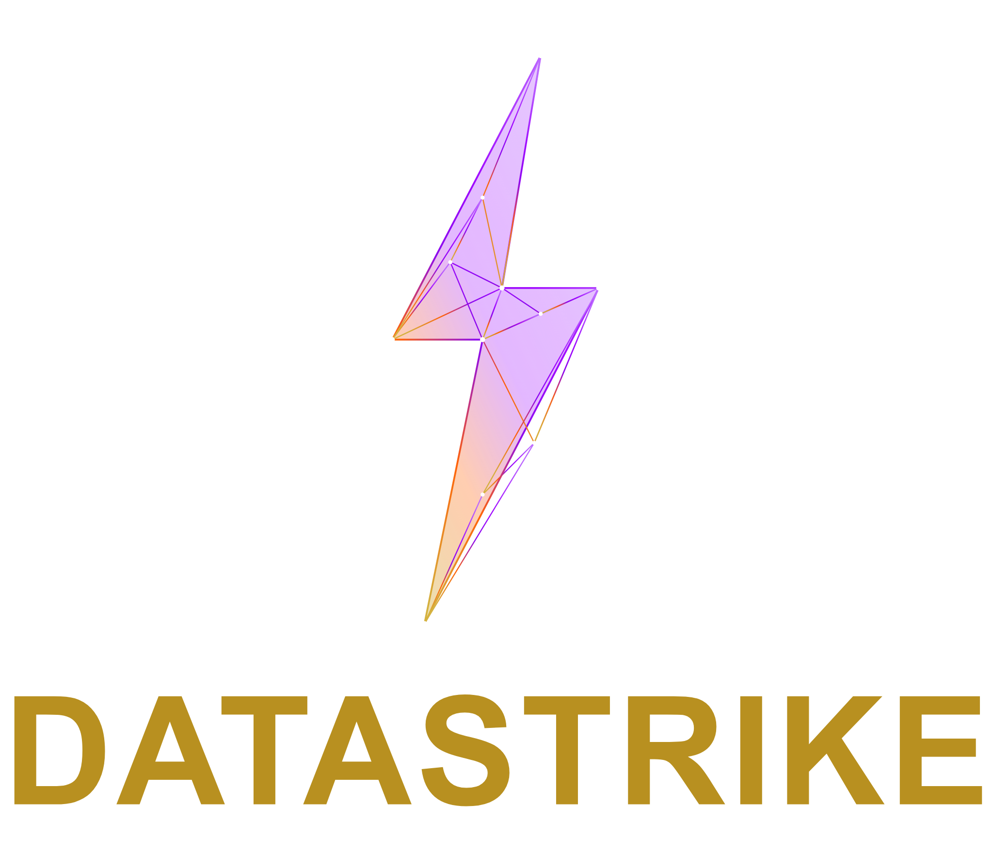 DataStrike
